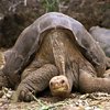 lonesomegeorge_byputneymark