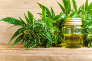 What science is confirming about the benefits of CBD oil – NaturalNews.com